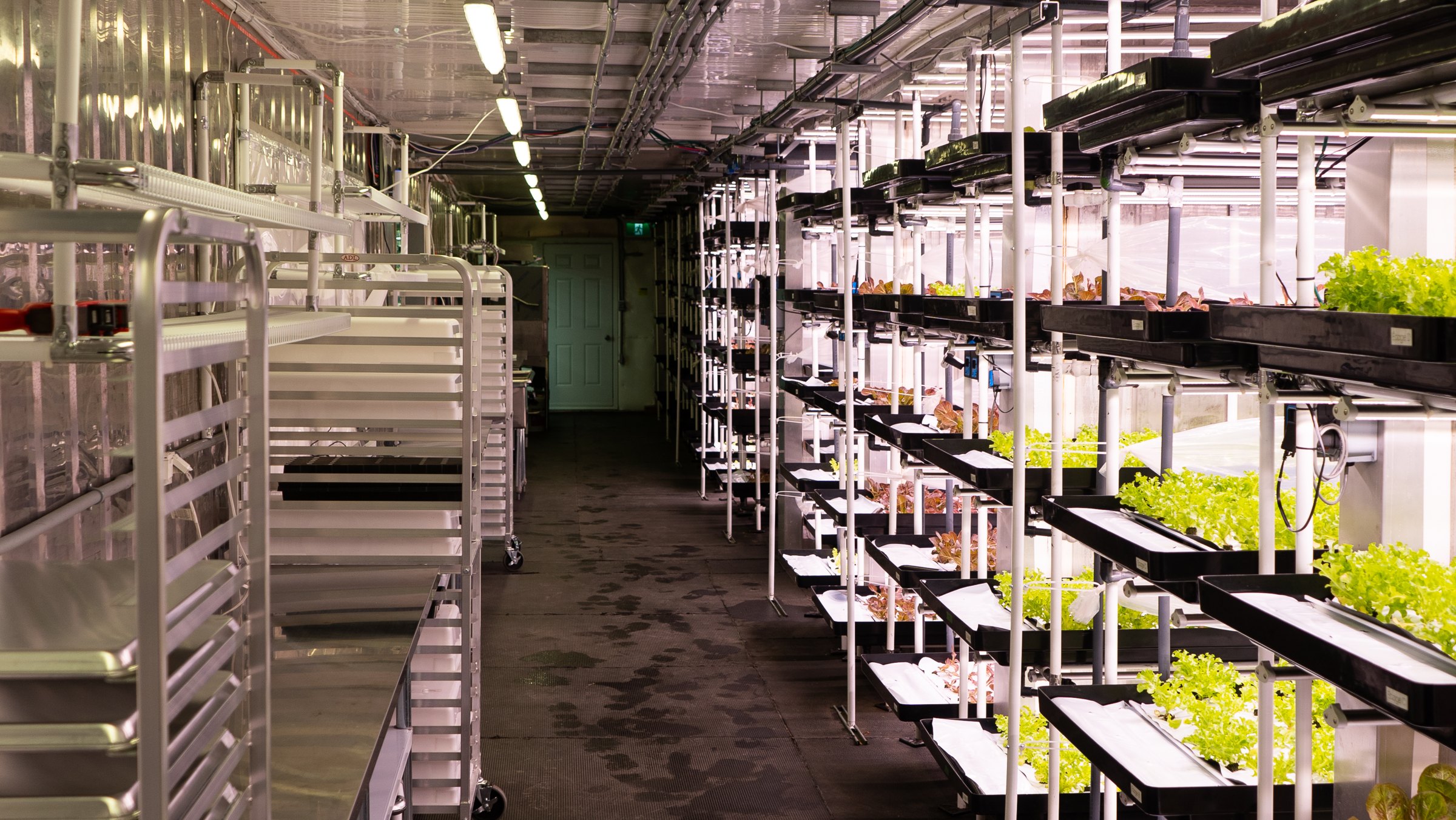 Fully enclosed production aisle with built-in lighting and plumbing