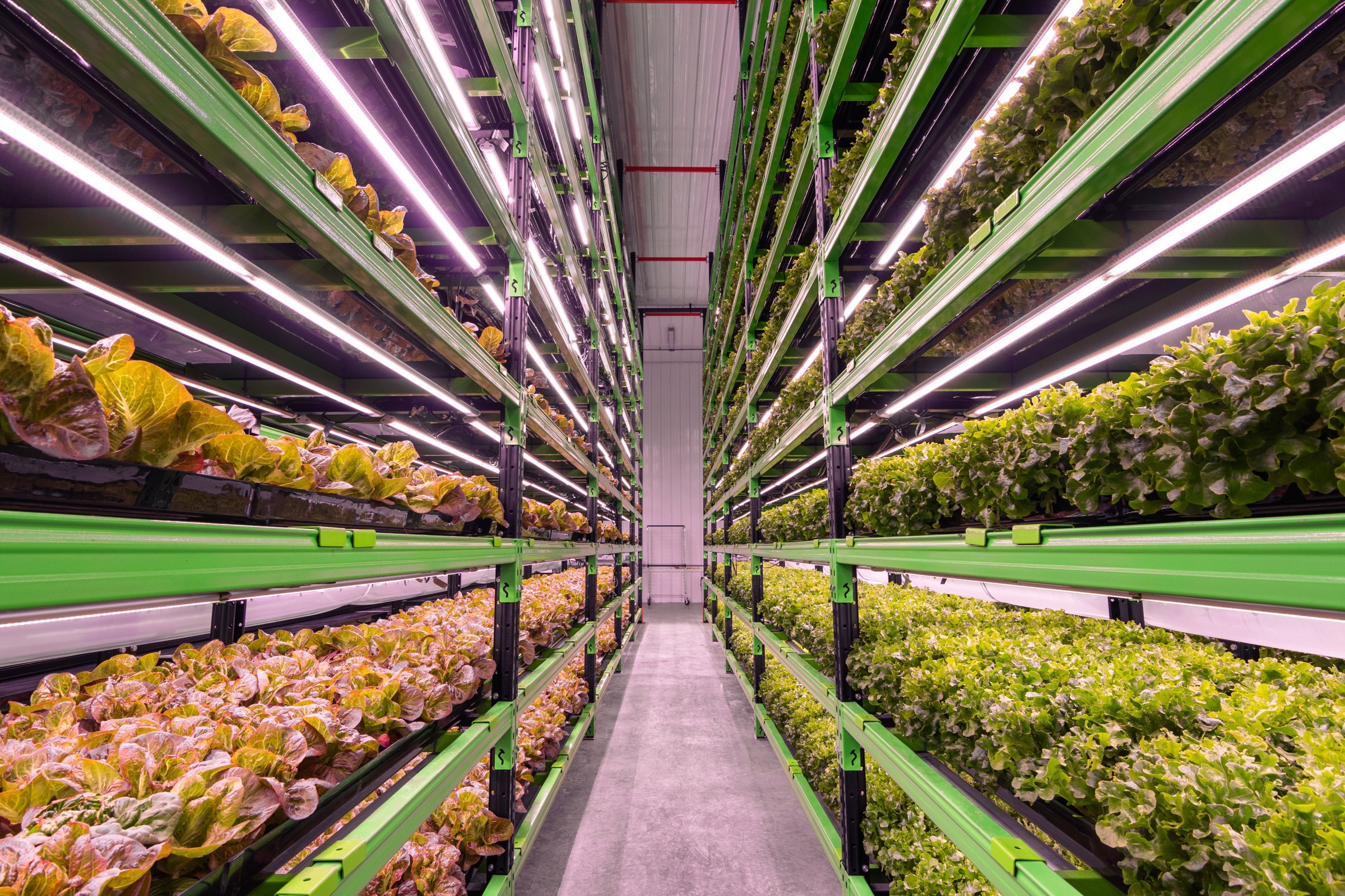 Controlled environment