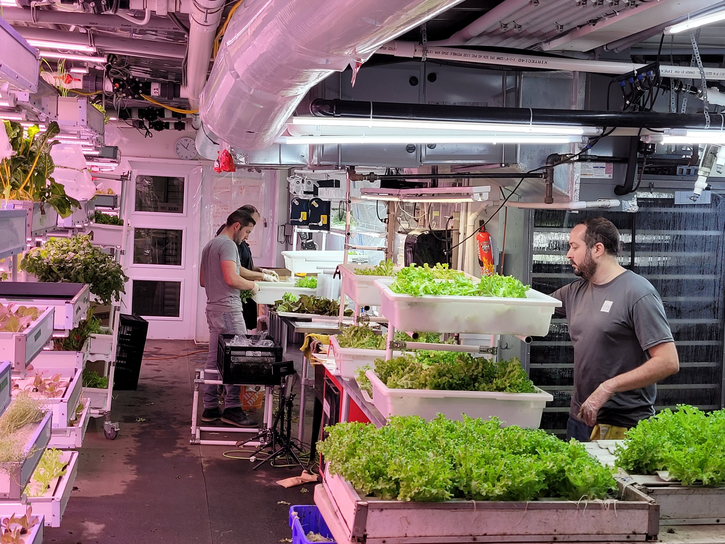 Team at work in a production room